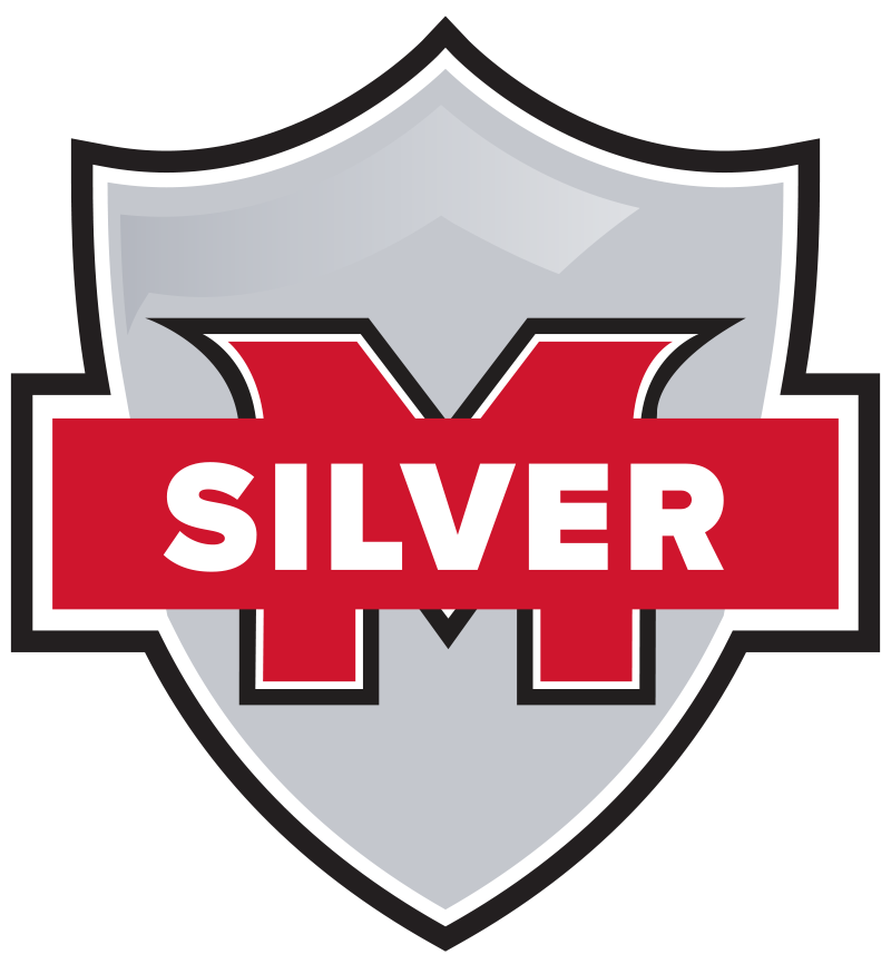 Silver package icon