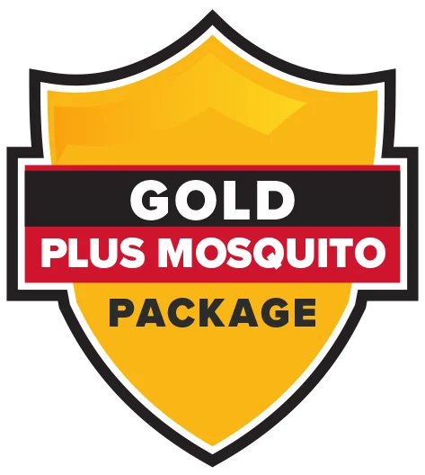 Gold + Mosquito