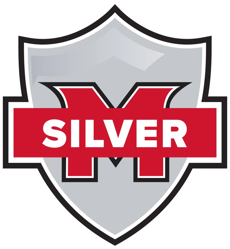 Silver package icon